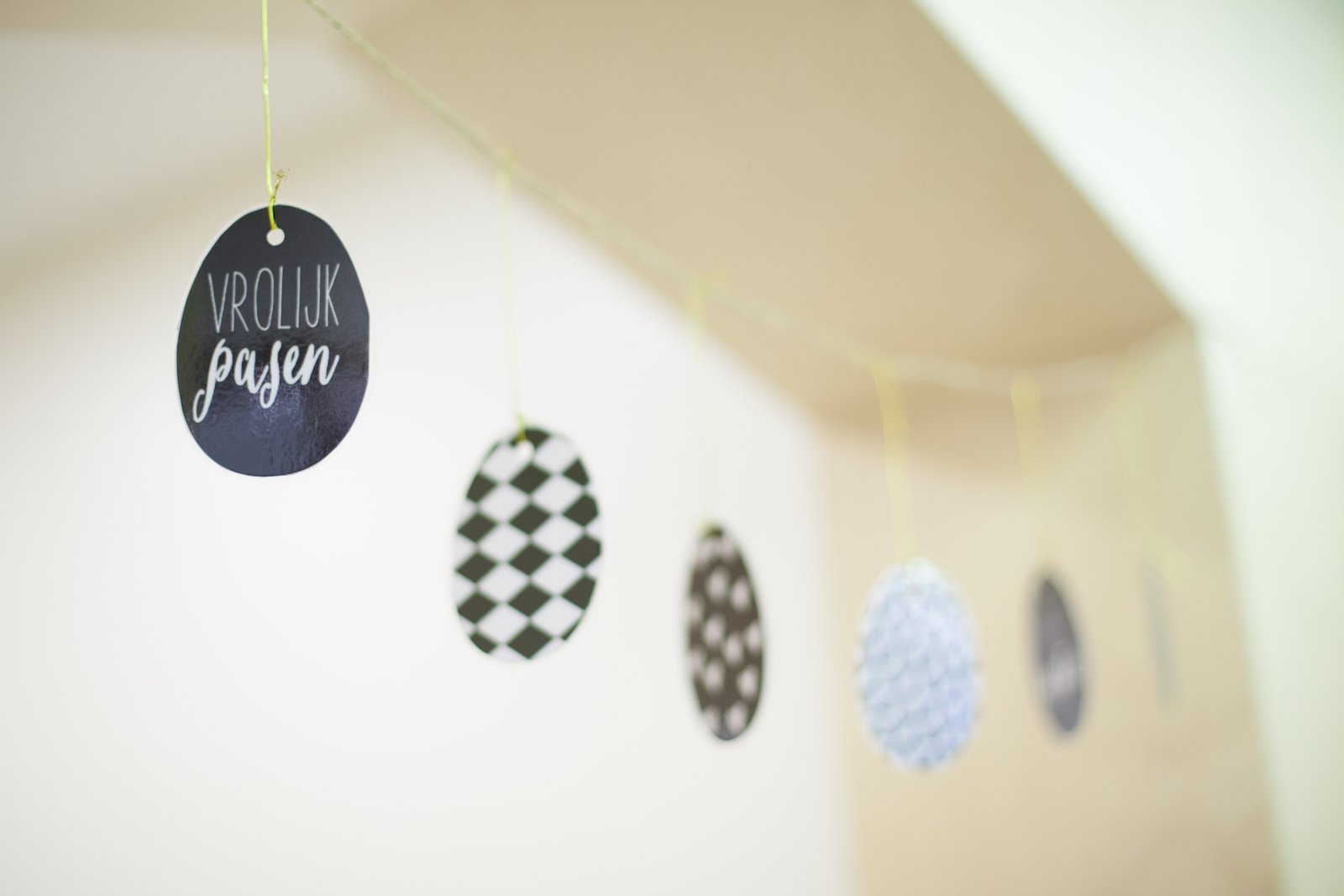 폴라스튜디오 키즈 포트폴리오